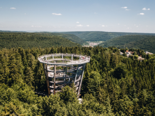 Was Sie im Schwarzwald nicht verpassen dürfen: Unsere besten Tipps & Hotels. 